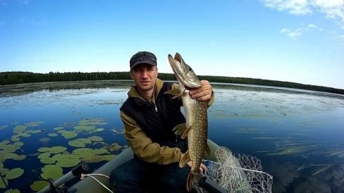 Какую рыбу сложнее всего поймать и какую легче всего. Какую пресноводную рыбу легче всего поймать? 10