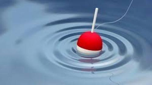 Какую рыбу проще всего поймать. Лёгкая добыча: какую рыбу проще всего поймать 09