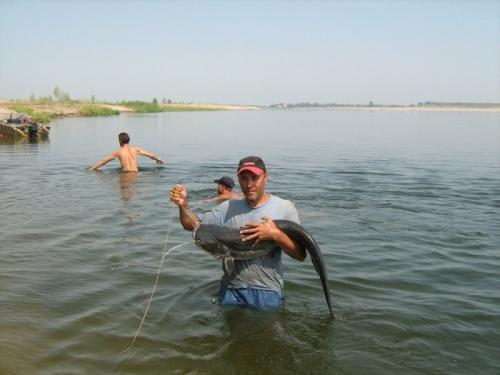 Какую рыбу сложнее всего поймать и какую легче всего. Какую пресноводную рыбу легче всего поймать? 11