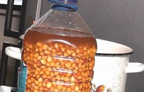 Наживка для речной рыбы. На что лучше клюет рыба