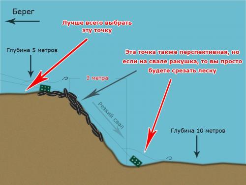 На что ловить рыбу в ставке. Как выбрать место для ловли на фидер?