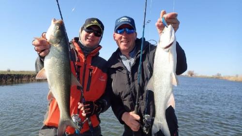 Какую рыбу сложнее всего поймать и какую легче всего. Какую пресноводную рыбу легче всего поймать? 07