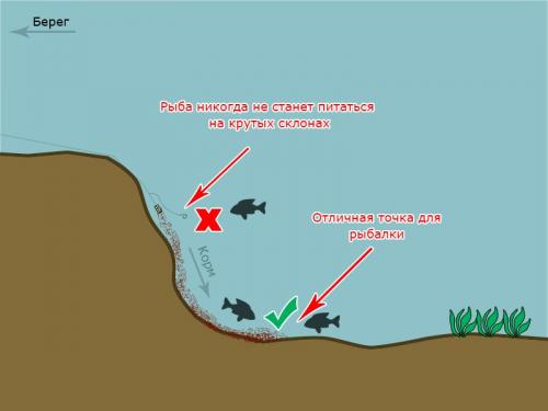 На что ловить рыбу в ставке. Как выбрать место для ловли на фидер?