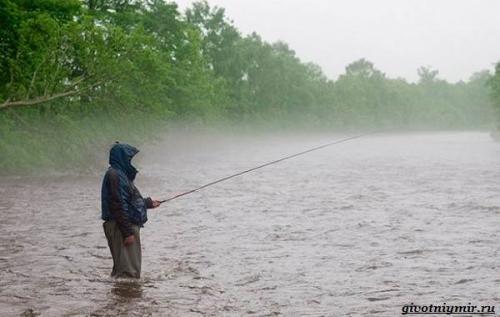 В какую погоду лучше ловить рыбу. Влияние погоды на рыбную ловлю