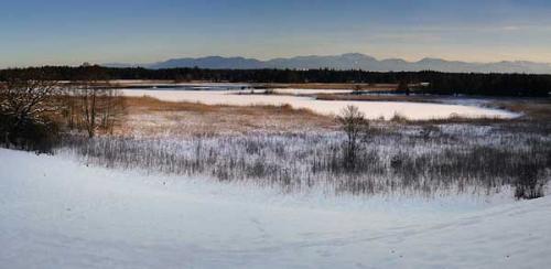 В какую погоду клюёт карась. Карась в дождь: активность клёва рыбы в пасмурную погоду