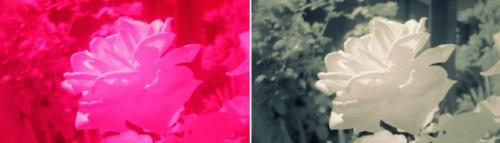 Цветные фильтры для света своими руками. Инфракрасный фильтр своими руками из CD диска на мыльницу