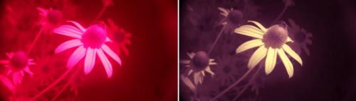 Цветные фильтры для света своими руками. Инфракрасный фильтр своими руками из CD диска на мыльницу