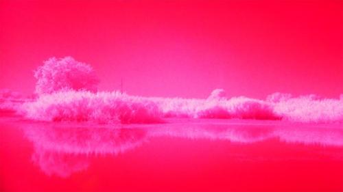 Цветные фильтры для света своими руками. Инфракрасный фильтр своими руками из CD диска на мыльницу