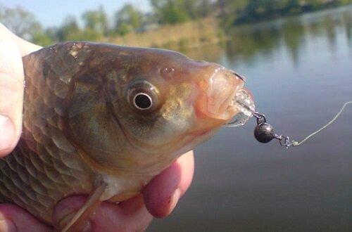 Ветреная весна: где искать и как ловить карася в сложных условиях 08 Ветреная весна: где искать и как ловить карася в сложных условиях 08