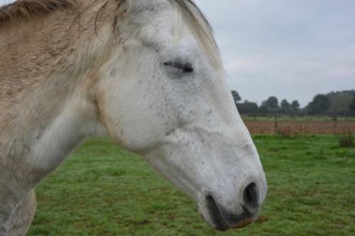 Интересные факты о животных с картинками. Интересные факты о животных, которых многие не знают (14 фото)
