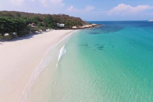 21 интересный факт о Тихом океане. Интересные факты о самом большом океане планеты 25 21 интересный факт о Тихом океане. Интересные факты о самом большом океане планеты 25