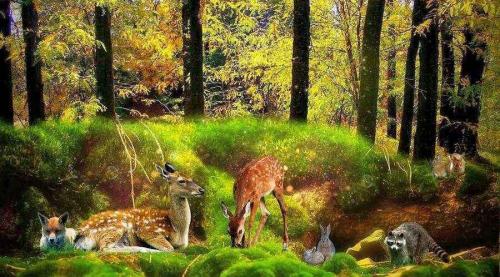 Какие факты можно узнать о природе. Интересные факты о природе