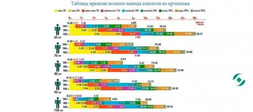 Сколько выводится алкоголь из организма женщины. Скорость выведения спиртных напитков из организма