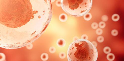 Сколько держится водка в крови после 100. Выведение алкоголя из организма: схема 04 Сколько держится водка в крови после 100. Выведение алкоголя из организма: схема 04