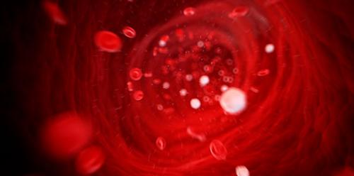 Сколько держится водка в крови после 100. Выведение алкоголя из организма: схема 05 Сколько держится водка в крови после 100. Выведение алкоголя из организма: схема 05