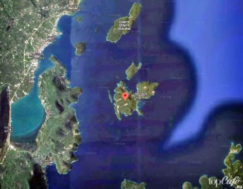 Интересные факты о скорпионах. ТОП-15 удивительных фактов о скорпионах