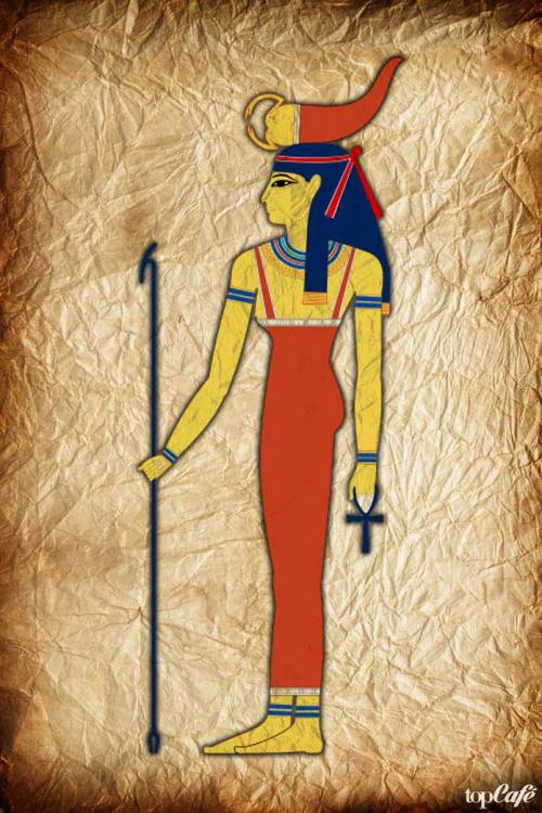 Интересные факты о скорпионах. ТОП-15 удивительных фактов о скорпионах