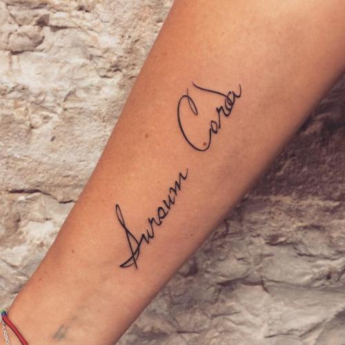 Тату надписи на латыни для девушек и мужчин. Фразы для тату на латыни (с переводом) 17 Тату надписи на латыни для девушек и мужчин. Фразы для тату на латыни (с переводом) 17