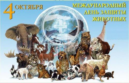 25 интересных вопросов о животных. Интересные вопросы о животных с ответами 14 25 интересных вопросов о животных. Интересные вопросы о животных с ответами 14