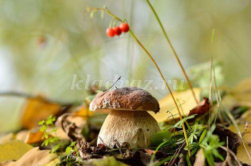 Викторина с ответами для детей 5-7 лет на тему. Викторина с ответами для детей 5 – 7 лет «Наши любимые сказки» 10 Викторина с ответами для детей 5-7 лет на тему. Викторина с ответами для детей 5 – 7 лет «Наши любимые сказки» 10