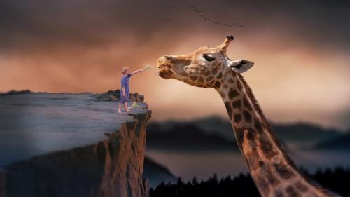 Интересные факты о млекопитающих. Млекопитающие — интересные факты