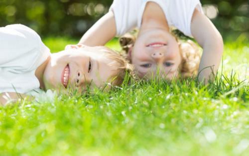 Интересные вопросы о животных и растениях №3. Викторина о природе для детей с ответами