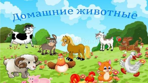 Занимательные вопросы о животных с ответами для детей. Интеллектуальная викторина с ответами для учащихся начальной школы. Животные 14 Занимательные вопросы о животных с ответами для детей. Интеллектуальная викторина с ответами для учащихся начальной школы. Животные 14