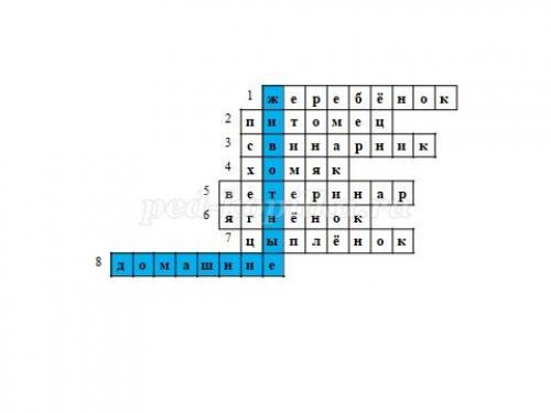 Занимательные вопросы о животных с ответами для детей. Интеллектуальная викторина с ответами для учащихся начальной школы. Животные 20 Занимательные вопросы о животных с ответами для детей. Интеллектуальная викторина с ответами для учащихся начальной школы. Животные 20
