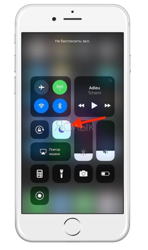 Ночной режим айфон звонки. Как настроить режим «Не беспокоить» на iOS (iPhone, iPod Touch, iPad)