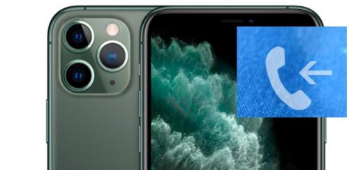 Как включить вспышку при звонке на айфон. Лайфхак по настройке ярких оповещений вспышкой при звонке на iPhone 11 на iPhone 11 Pro