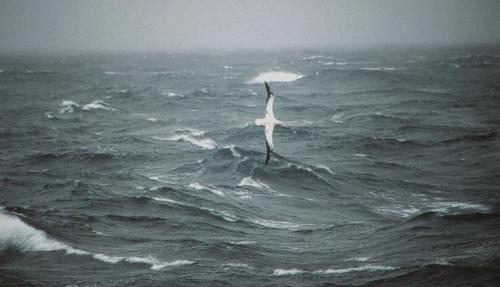 20 интересных фактов о рыбе. 20 интересных и забавных фактов об аквариумах и их жителях 05 20 интересных фактов о рыбе. 20 интересных и забавных фактов об аквариумах и их жителях 05