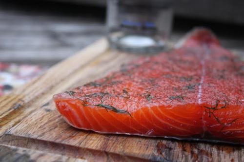 20 интересных фактов о рыбе. 20 интересных и забавных фактов об аквариумах и их жителях 07 20 интересных фактов о рыбе. 20 интересных и забавных фактов об аквариумах и их жителях 07