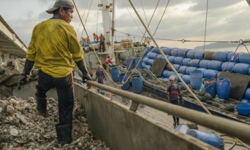 20 интересных фактов о рыбе. 20 интересных и забавных фактов об аквариумах и их жителях 04 20 интересных фактов о рыбе. 20 интересных и забавных фактов об аквариумах и их жителях 04