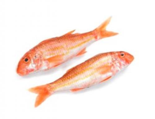 Интересные факты о рыбах чёрного моря. Знаменитые и редкие виды