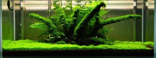 Прикольные рыбы. Рыбки - новые посты