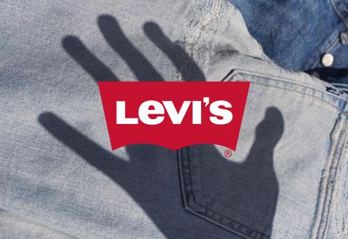Lvs бренд расшифровка. Гид по моделям Levi’s