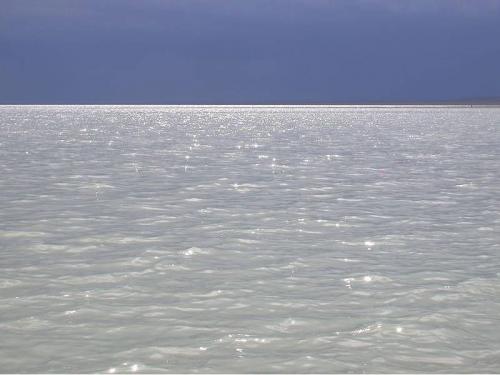 Интересные факты о океанах мира. Самые интересные факты об океанах