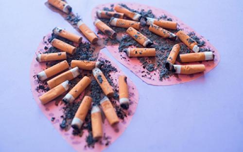 Бросить курить советы для женщин форум. Реакция организма на отмену табака