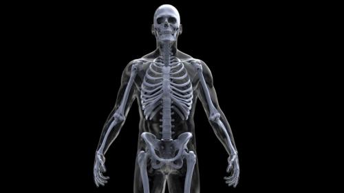 Интересные факты о развитии детей. Интересные факты о детях