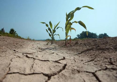 Удивительные факты о нашей планете: 20 вещей, которые вы, возможно, не знали 09