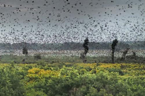 Каковы самые безумные факты о нашей планете, которые вы знаете. Странные, очень странные факты о нашей планете, которые знает не каждый