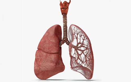 Синдром отмены никотина сколько длится. Что происходит после преодоления вредной привычки