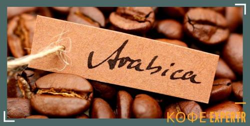 Виды кофейных напитков и их описание. Виды кофе по сортам и типам приготовления