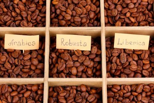26 лучших видов кофе с названиями. Какие виды кофе бывают