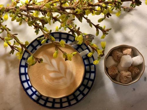 Авторский кофе рецепты. Международный день кофе: авторские рецепты от бариста