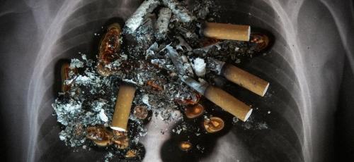 За сколько никотин выводится из мочи от вейпа. Обмен никотина в организме человека