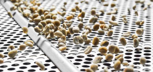 Таблица видов кофе. Виды кофе – обзорная классификация