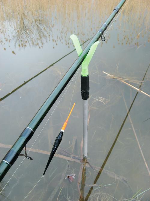 Как определить, какая рыба сейчас клюет и на что 03