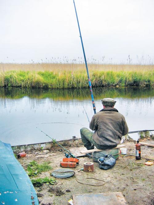 Как определить, какая рыба сейчас клюет и на что 04