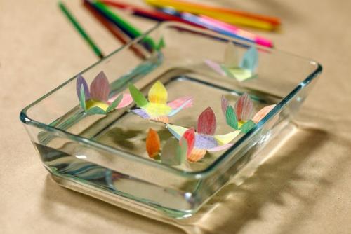 Веселые опыты для маленьких непосед: как развлечь своего ребенка дома 13 Веселые опыты для маленьких непосед: как развлечь своего ребенка дома 13